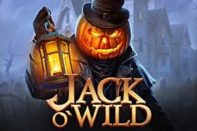 Jack O'Wild